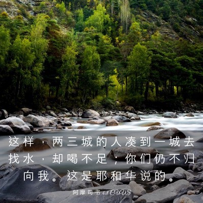 Picture 03 - 阿 摩 司 书 4:8 CUVS - 这 样 ， 两 三 城 的 人 凑 到 一 城 - Bible Verse Picture