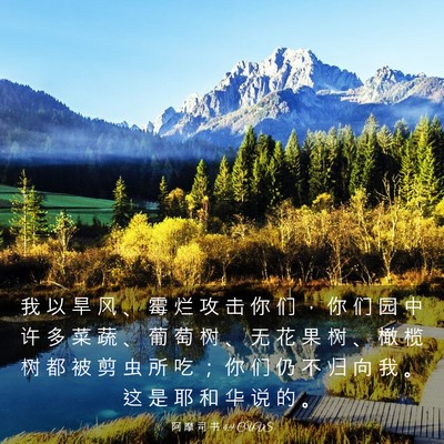 Picture 03 - 阿 摩 司 书 4:9 CUVS - 我 以 旱 风 、 霉 烂 攻 击 你 们 ， - Bible Verse Picture