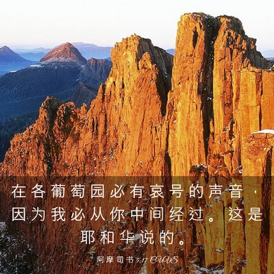 Picture 03 - 阿 摩 司 书 5:17 CUVS - 在 各 葡 萄 园 必 有 哀 号 的 声 音 - Bible Verse Picture