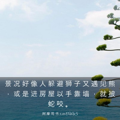 Picture 03 - 阿 摩 司 书 5:19 CUVS - 景 况 好 像 人 躲 避 狮 子 又 遇 见 - Bible Verse Picture