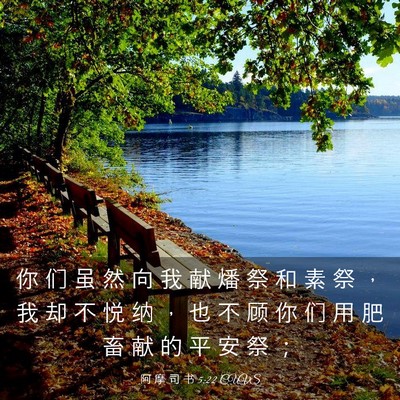 Picture 03 - 阿 摩 司 书 5:22 CUVS - 你 们 虽 然 向 我 献 燔 祭 和 素 祭 - Bible Verse Picture