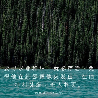 Picture 03 - 阿 摩 司 书 5:6 CUVS - 要 寻 求 耶 和 华 ， 就 必 存 活 ， - Bible Verse Picture