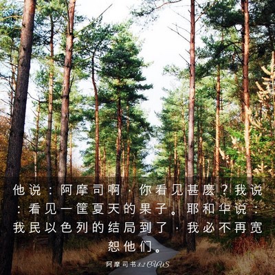 Picture 03 - 阿 摩 司 书 8:2 CUVS - 他 说 ： 阿 摩 司 啊 ， 你 看 见 甚 - Bible Verse Picture