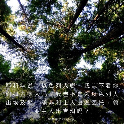 Picture 03 - 阿 摩 司 书 9:7 CUVS - 耶 和 华 说 ： 以 色 列 人 哪 ， 我 - Bible Verse Picture