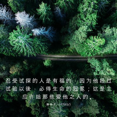 Picture 03 - 雅 各 书 1:12 CUVS - 忍 受 试 探 的 人 是 有 福 的 ， 因 - Bible Verse Picture