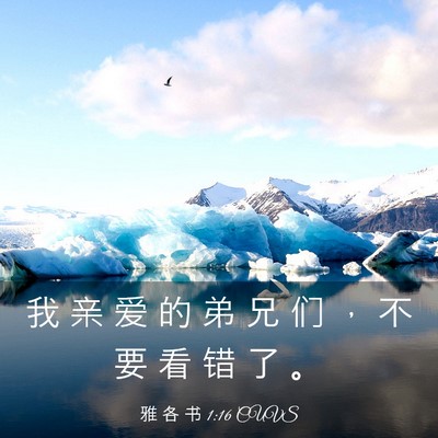 Picture 03 - 雅 各 书 1:16 CUVS - 我 亲 爱 的 弟 兄 们 ， 不 要 看 错 - Bible Verse Picture