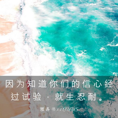 Picture 03 - 雅 各 书 1:3 CUVS - 因 为 知 道 你 们 的 信 心 经 过 试 - Bible Verse Picture