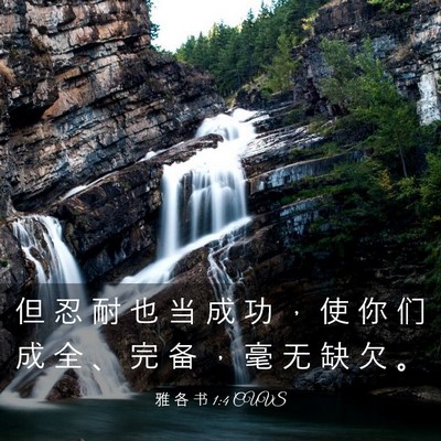 Picture 03 - 雅 各 书 1:4 CUVS - 但 忍 耐 也 当 成 功 ， 使 你 们 成 - Bible Verse Picture