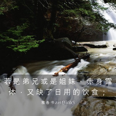 Picture 03 - 雅 各 书 2:15 CUVS - 若 是 弟 兄 或 是 姐 妹 ， 赤 身 露 - Bible Verse Picture