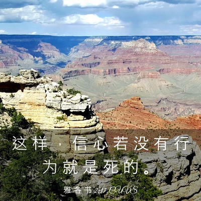Picture 03 - 雅 各 书 2:17 CUVS - 这 样 ， 信 心 若 没 有 行 为 就 是 - Bible Verse Picture