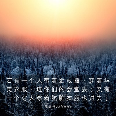 Picture 03 - 雅 各 书 2:2 CUVS - 若 有 一 个 人 带 着 金 戒 指 ， 穿 - Bible Verse Picture