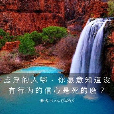 Picture 03 - 雅 各 书 2:20 CUVS - 虚 浮 的 人 哪 ， 你 愿 意 知 道 没 - Bible Verse Picture