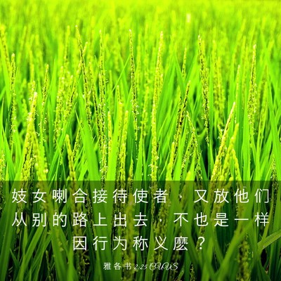 Picture 03 - 雅 各 书 2:25 CUVS - 妓 女 喇 合 接 待 使 者 ， 又 放 他 - Bible Verse Picture