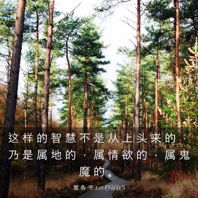 Picture 03 - 雅 各 书 3:15 CUVS - 这 样 的 智 慧 不 是 从 上 头 来 的 - Bible Verse Picture