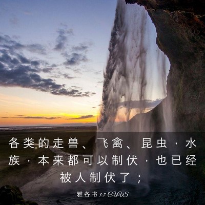 Picture 03 - 雅 各 书 3:7 CUVS - 各 类 的 走 兽 、 飞 禽 、 昆 虫 ， - Bible Verse Picture