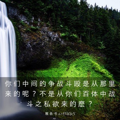 Picture 03 - 雅 各 书 4:1 CUVS - 你 们 中 间 的 争 战 斗 殴 是 从 那 - Bible Verse Picture