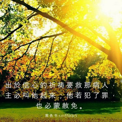 Picture 03 - 雅 各 书 5:15 CUVS - 出 於 信 心 的 祈 祷 要 救 那 病 人 - Bible Verse Picture