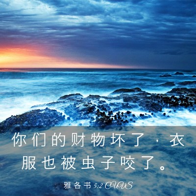 Picture 03 - 雅 各 书 5:2 CUVS - 你 们 的 财 物 坏 了 ， 衣 服 也 被 - Bible Verse Picture