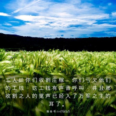 Picture 03 - 雅 各 书 5:4 CUVS - 工 人 给 你 们 收 割 庄 稼 ， 你 们 - Bible Verse Picture