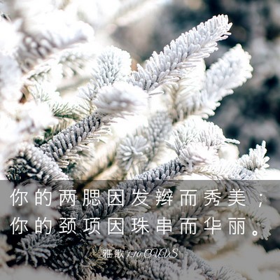 Picture 03 - 雅 歌 1:10 CUVS - 你 的 两 腮 因 发 辫 而 秀 美 ； 你 - Bible Verse Picture