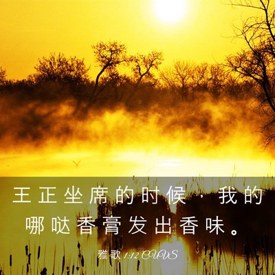 Picture 03 - 雅 歌 1:12 CUVS - 王 正 坐 席 的 时 候 ， 我 的 哪 哒 - Bible Verse Picture