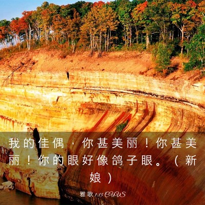 Picture 03 - 雅 歌 1:15 CUVS - 我 的 佳 偶 ， 你 甚 美 丽 ！ 你 甚 - Bible Verse Picture