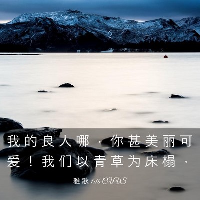 Picture 03 - 雅 歌 1:16 CUVS - 我 的 良 人 哪 ， 你 甚 美 丽 可 爱 - Bible Verse Picture