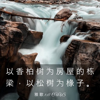 Picture 03 - 雅 歌 1:17 CUVS - 以 香 柏 树 为 房 屋 的 栋 梁 ， 以 - Bible Verse Picture