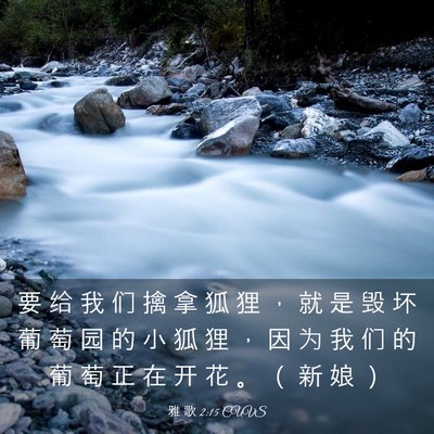 Picture 03 - 雅 歌 2:15 CUVS - 要 给 我 们 擒 拿 狐 狸 ， 就 是 毁 - Bible Verse Picture