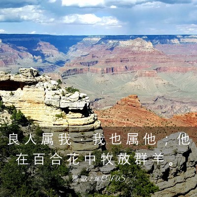 Picture 03 - 雅 歌 2:16 CUVS - 良 人 属 我 ， 我 也 属 他 ； 他 在 - Bible Verse Picture