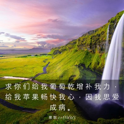 Picture 03 - 雅 歌 2:5 CUVS - 求 你 们 给 我 葡 萄 乾 增 补 我 力 - Bible Verse Picture