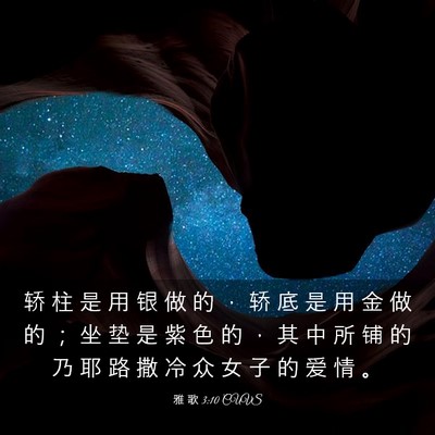 Picture 03 - 雅 歌 3:10 CUVS - 轿 柱 是 用 银 做 的 ， 轿 底 是 用 - Bible Verse Picture
