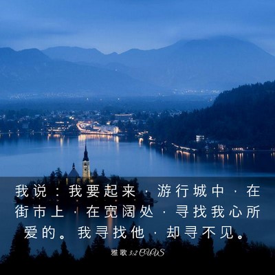 Picture 03 - 雅 歌 3:2 CUVS - 我 说 ： 我 要 起 来 ， 游 行 城 中 - Bible Verse Picture