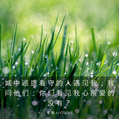 Picture 03 - 雅 歌 3:3 CUVS - 城 中 巡 逻 看 守 的 人 遇 见 我 ； - Bible Verse Picture