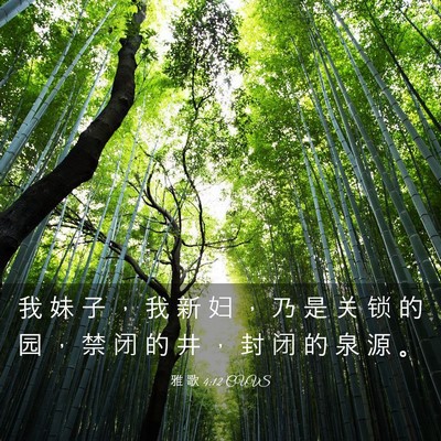 Picture 03 - 雅 歌 4:12 CUVS - 我 妹 子 ， 我 新 妇 ， 乃 是 关 锁 - Bible Verse Picture