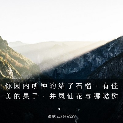 Picture 03 - 雅 歌 4:13 CUVS - 你 园 内 所 种 的 结 了 石 榴 ， 有 - Bible Verse Picture