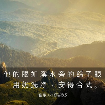 Picture 03 - 雅 歌 5:12 CUVS - 他 的 眼 如 溪 水 旁 的 鸽 子 眼 ， - Bible Verse Picture