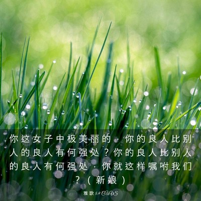 Picture 03 - 雅 歌 5:9 CUVS - 你 这 女 子 中 极 美 丽 的 ， 你 的 - Bible Verse Picture