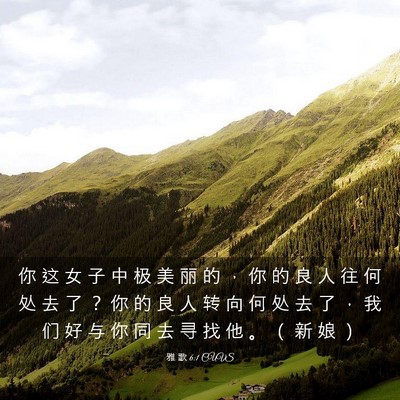 Picture 03 - 雅 歌 6:1 CUVS - 你 这 女 子 中 极 美 丽 的 ， 你 的 - Bible Verse Picture