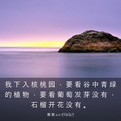 Picture 03 - 雅 歌 6:11 CUVS - 我 下 入 核 桃 园 ， 要 看 谷 中 青 - Bible Verse Picture