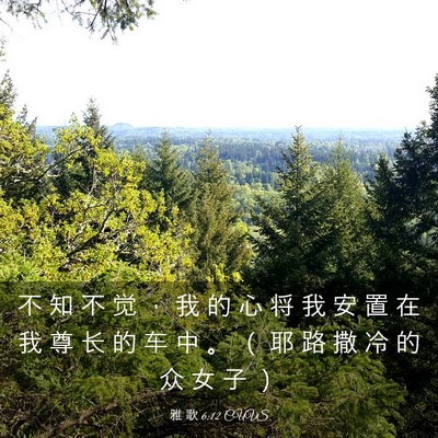 Picture 03 - 雅 歌 6:12 CUVS - 不 知 不 觉 ， 我 的 心 将 我 安 置 - Bible Verse Picture