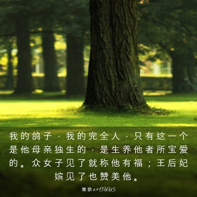 Picture 03 - 雅 歌 6:9 CUVS - 我 的 鸽 子 ， 我 的 完 全 人 ， 只 - Bible Verse Picture