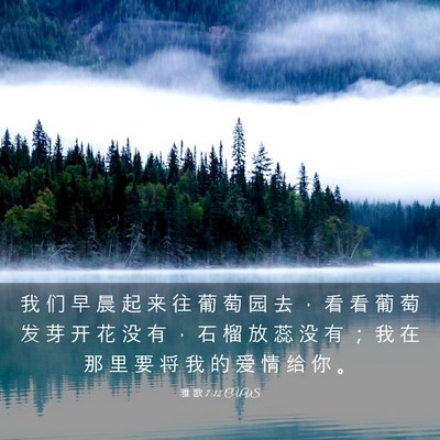 Picture 03 - 雅 歌 7:12 CUVS - 我 们 早 晨 起 来 往 葡 萄 园 去 ， - Bible Verse Picture