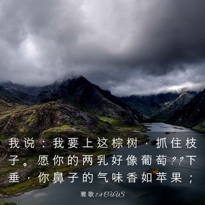Picture 03 - 雅 歌 7:8 CUVS - 我 说 ： 我 要 上 这 棕 树 ， 抓 住 - Bible Verse Picture