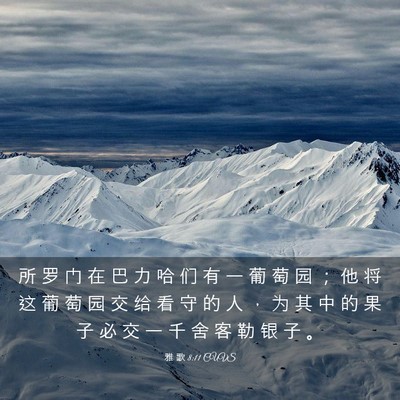 Picture 03 - 雅 歌 8:11 CUVS - 所 罗 门 在 巴 力 哈 们 有 一 葡 萄 - Bible Verse Picture