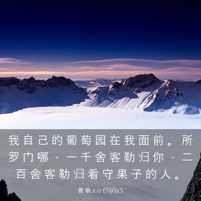 Picture 03 - 雅 歌 8:12 CUVS - 我 自 己 的 葡 萄 园 在 我 面 前 。 - Bible Verse Picture