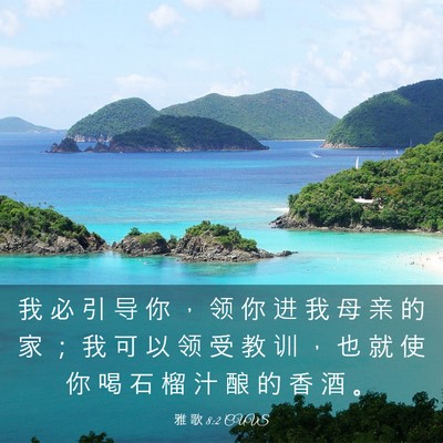 Picture 03 - 雅 歌 8:2 CUVS - 我 必 引 导 你 ， 领 你 进 我 母 亲 - Bible Verse Picture
