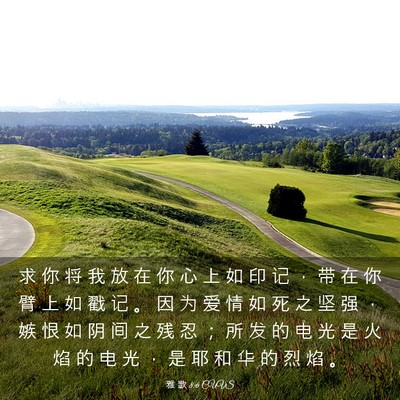 Picture 03 - 雅 歌 8:6 CUVS - 求 你 将 我 放 在 你 心 上 如 印 记 - Bible Verse Picture