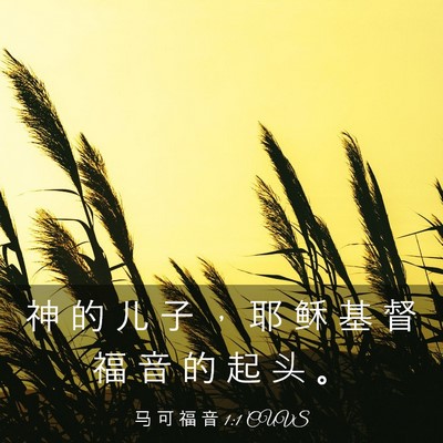 Picture 03 - 马 可 福 音 1:1 CUVS - 神 的 儿 子 ， 耶 稣 基 督 福 音 的 - Bible Verse Picture