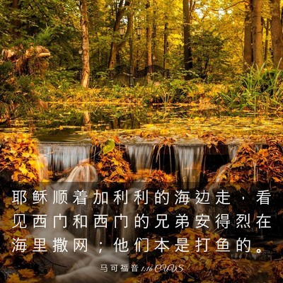 Picture 03 - 马 可 福 音 1:16 CUVS - 耶 稣 顺 着 加 利 利 的 海 边 走 ， - Bible Verse Picture